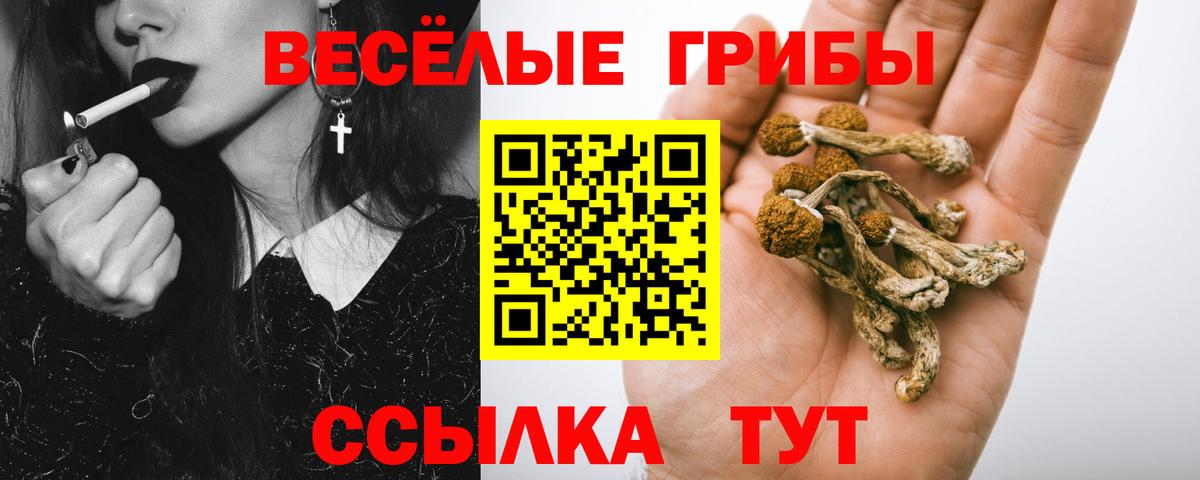 Псилоцибиновые грибы мицелий  Галлюциногенные грибы Psilocybine cubensis  купить наркотики сайты  Вход с VPN  Моздок 